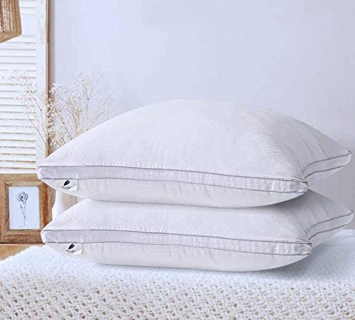 viewstar Oreillers 60x60 Lot de 2, Oreiller Moelleux, Coussin Blanc, Garnissage de Microfibre, Oreillers Anti-Transpiration, Anti-Acarien et Hypo-Allergénique pour Hotêl Lit Canapé