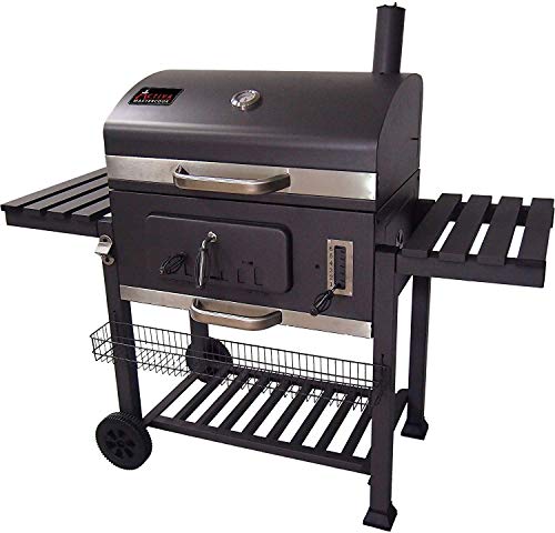 Best barbecue charbon de bois in 2022 [Based on 50 expert reviews]