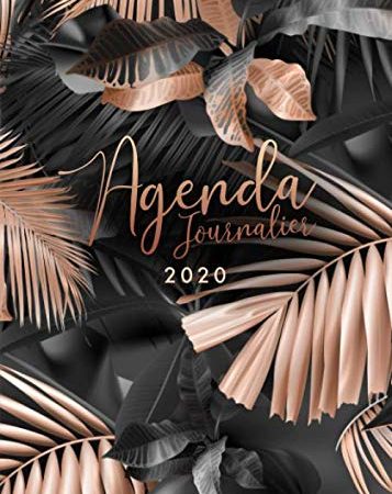 Agenda 2020: 12 mois journalier 2020 - format A5 - janvier à décembre 2020 - planificateur, semainier simple & graphique, motif Feuille de Palmier Tropical or rose et noir