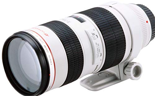 Canon, téléobjectif Zoom EF 70-200 mm / ouverture F/2,8 L USM