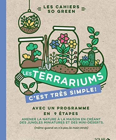 Les terrariums c'est très simple