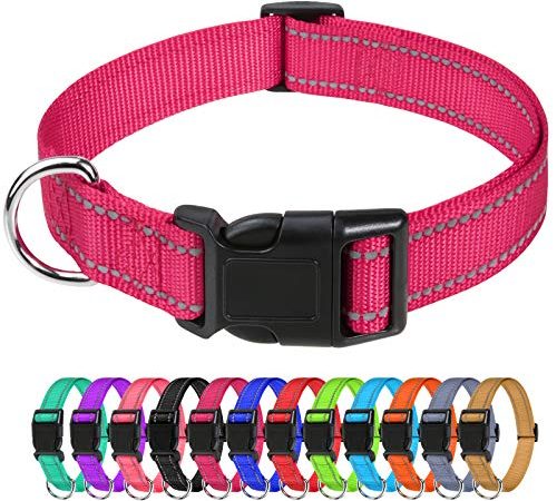 TagME Collier pour Chien, Collier en Nylon Réfléchissant Réglable Classique Convient pour Petit Chiens, Rose Vif, 1.5cm Largeur