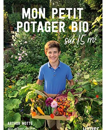 Mon petit potager bio sur 15m²