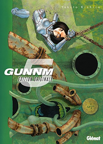 Best gunnm in 2022 [Based on 50 expert reviews]