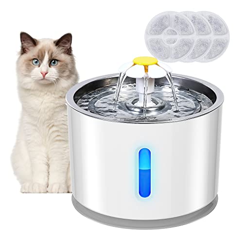 Best fontaine à eau pour chat in 2022 [Based on 50 expert reviews]