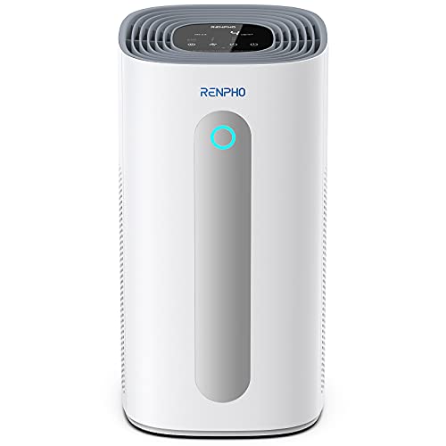 Best purificateur d’air in 2022 [Based on 50 expert reviews]