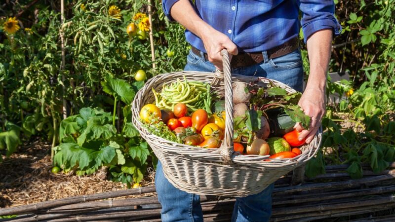 Comment tirer le meilleur parti de votre jardin