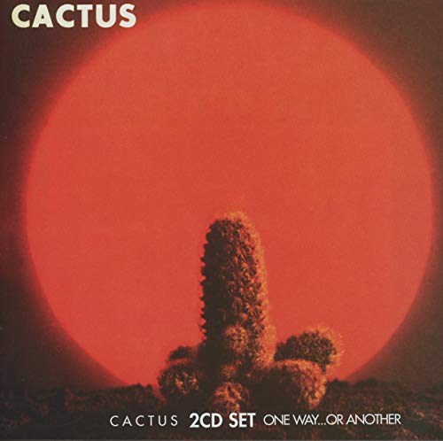 Best cactus in 2024 [Based on 50 expert reviews]