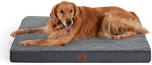Best coussin chien in 2024 [Based on 50 expert reviews]