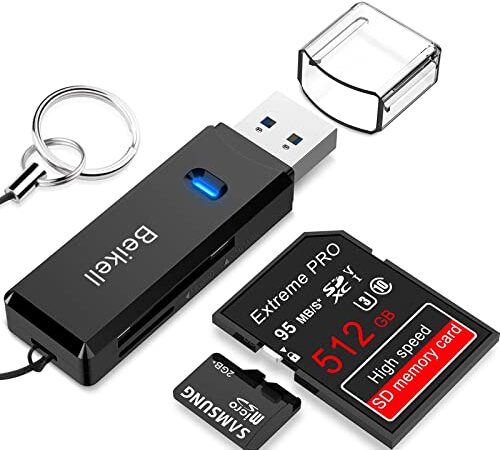 Lecteur de Carte USB 3.0, Beikell Lecteur de Carte Mémoire SD/Micro SD Haute Vitesse Card Reader MMC Memory Stick SDXC SDHC MSXC pour PC Windows et Mac OS - avec Porte-clés -Noir