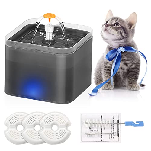 Best fontaine à eau pour chat in 2024 [Based on 50 expert reviews]