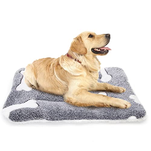 Best tapis chien in 2024 [Based on 50 expert reviews]
