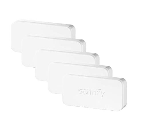 Somfy 2401488 - Pack de 5 IntelliTAG | Détecteurs auto-protégés de vibration pour intérieur ou extérieur | Détection avant l'ouverture |Compatibles Somfy One (+) & Somfy Home Alarm (Advanced)