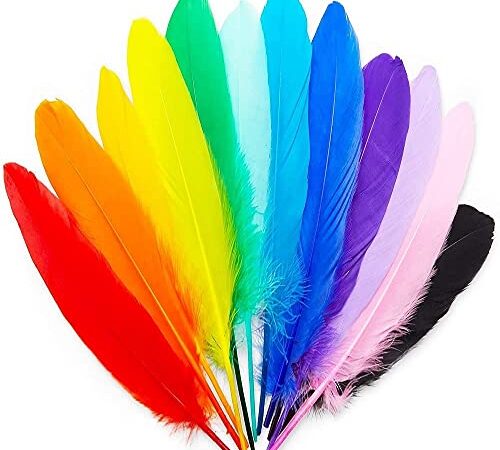 60 Grandes Plumes Colorées, Longueur 15-20 cm, 12 Couleurs différentes